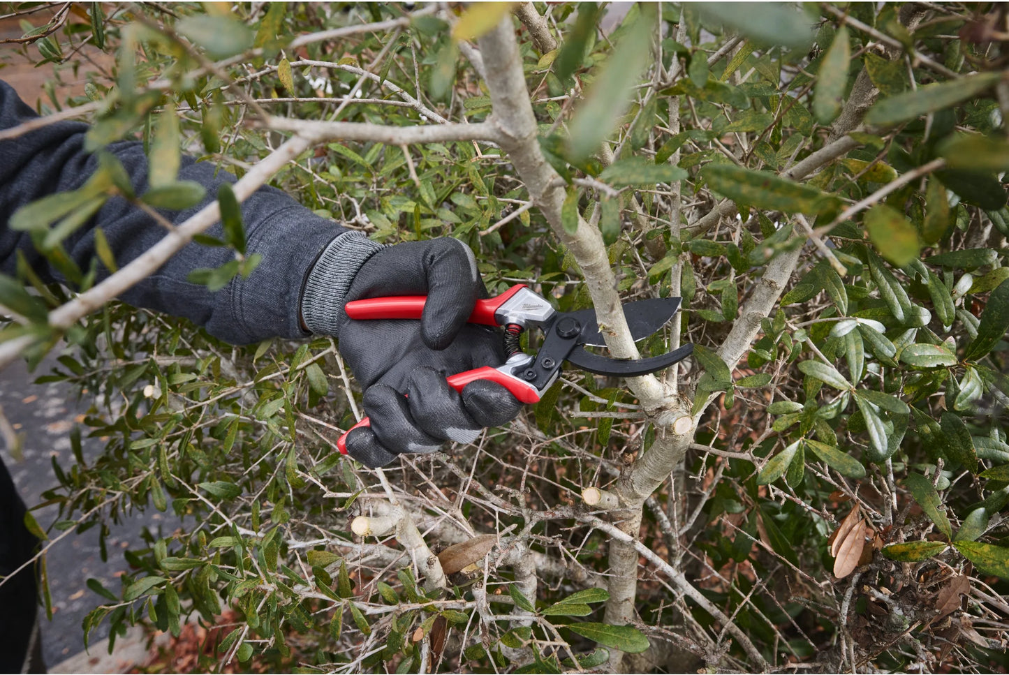Milwaukee 25mm Bypass Pruning Shears with Holster